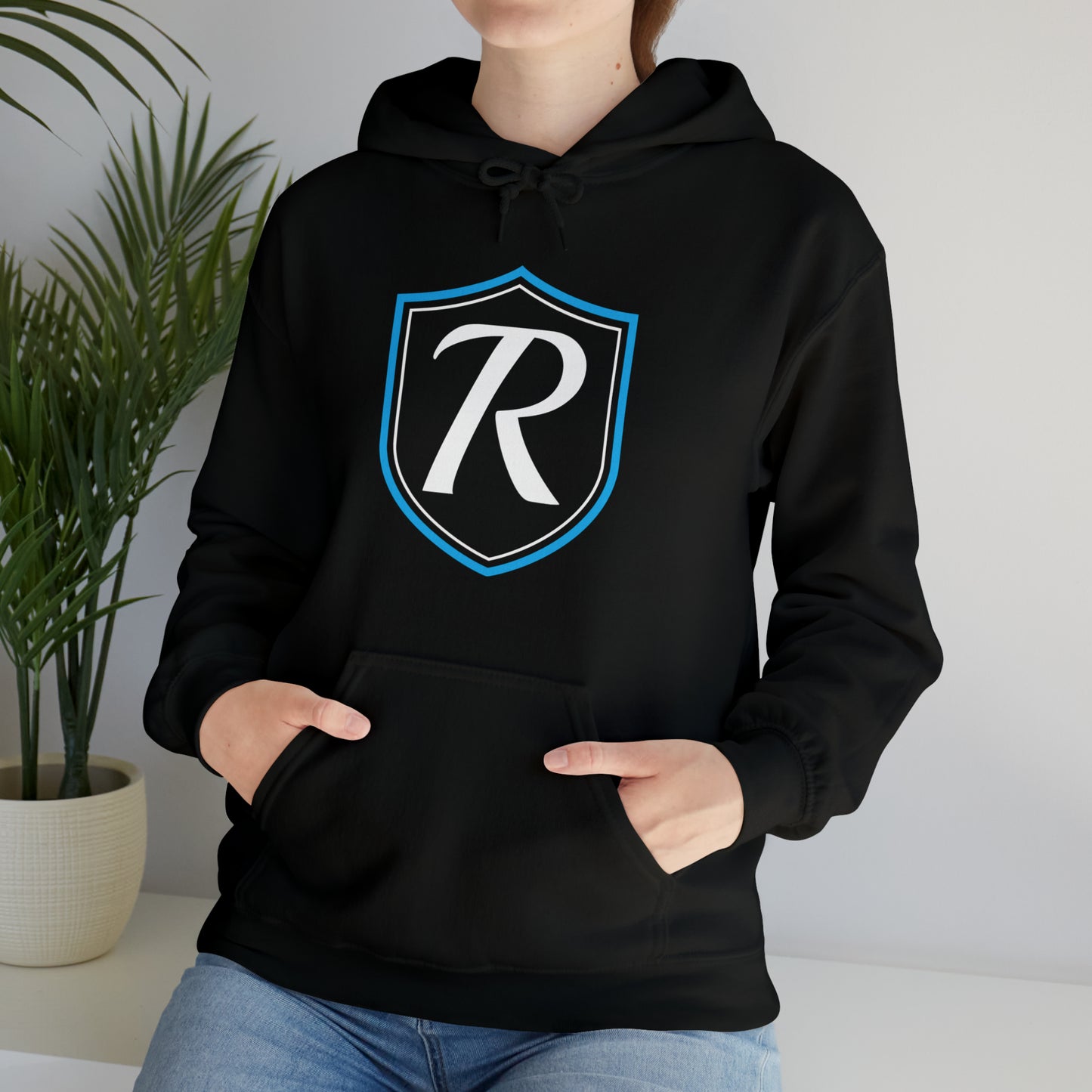 Ruint Defined Shield Hoodie (black unisex)